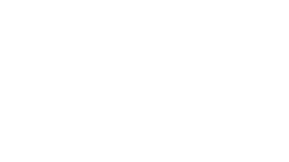 Fung Collective